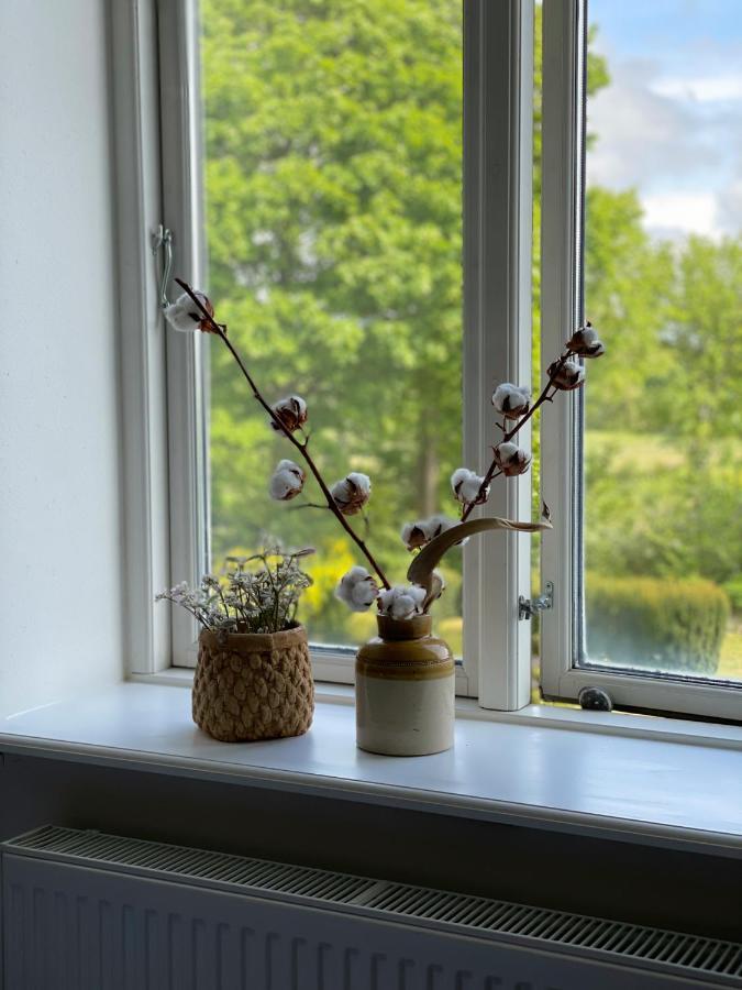 Dobbelt Vaerelse Carlsminde Apartment Stenstrup Екстериор снимка
